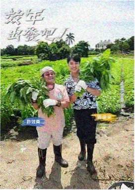 档期资讯配图山海食单年节篇